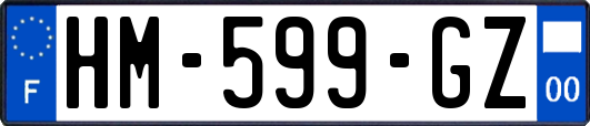 HM-599-GZ