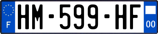 HM-599-HF