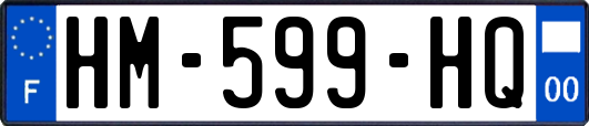 HM-599-HQ
