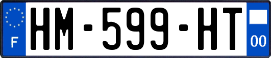 HM-599-HT