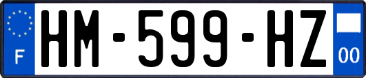 HM-599-HZ