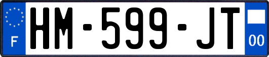 HM-599-JT
