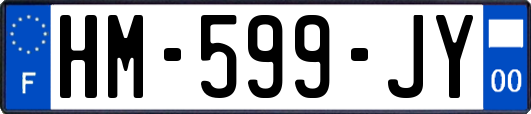 HM-599-JY