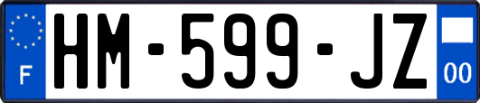 HM-599-JZ