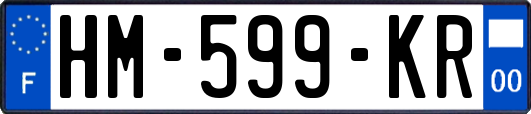 HM-599-KR