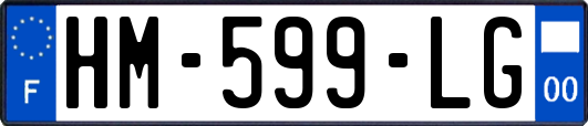 HM-599-LG