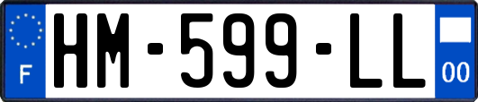HM-599-LL