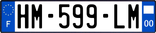 HM-599-LM