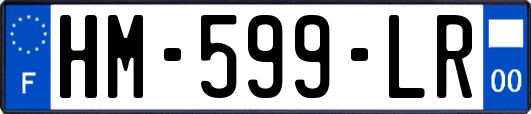 HM-599-LR