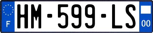 HM-599-LS