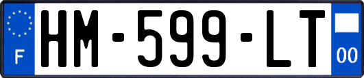 HM-599-LT