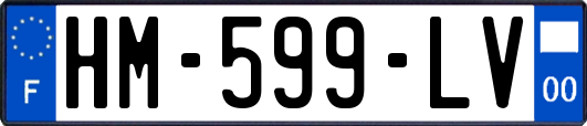 HM-599-LV