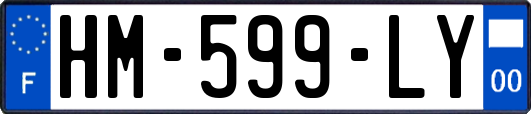 HM-599-LY