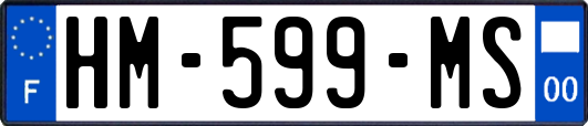 HM-599-MS