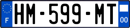 HM-599-MT