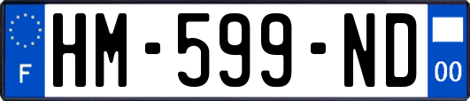 HM-599-ND