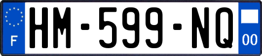 HM-599-NQ