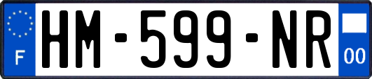 HM-599-NR