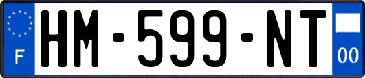 HM-599-NT