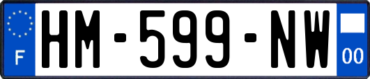 HM-599-NW