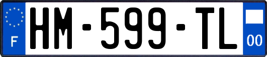 HM-599-TL