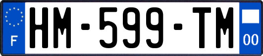 HM-599-TM