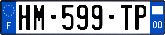 HM-599-TP