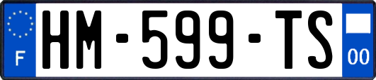 HM-599-TS