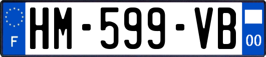 HM-599-VB