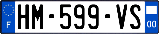 HM-599-VS