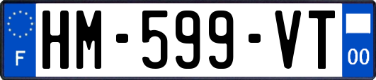 HM-599-VT