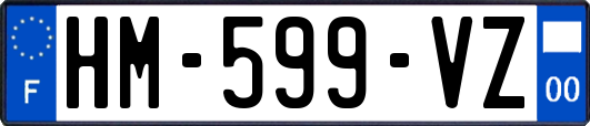 HM-599-VZ