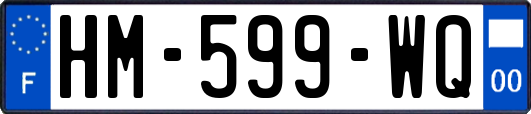 HM-599-WQ