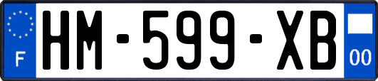 HM-599-XB