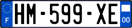 HM-599-XE