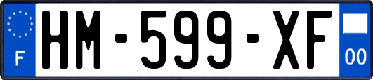 HM-599-XF