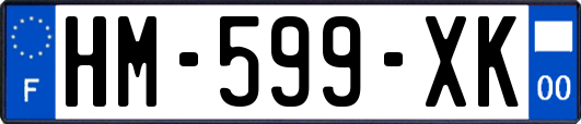 HM-599-XK