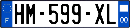 HM-599-XL