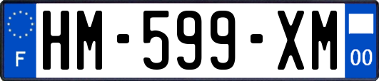 HM-599-XM