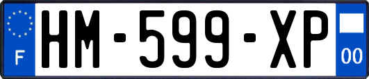 HM-599-XP