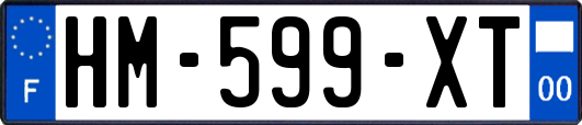 HM-599-XT