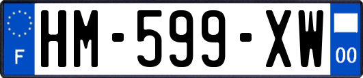 HM-599-XW