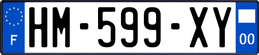 HM-599-XY