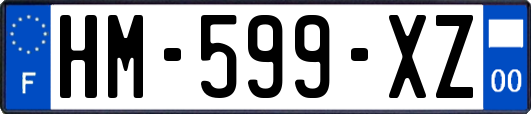 HM-599-XZ