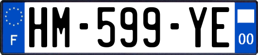 HM-599-YE