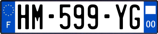 HM-599-YG