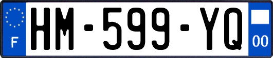 HM-599-YQ