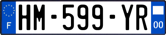 HM-599-YR