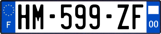 HM-599-ZF