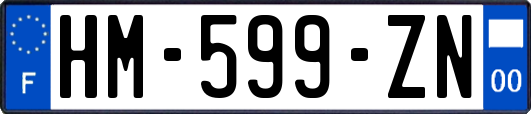 HM-599-ZN